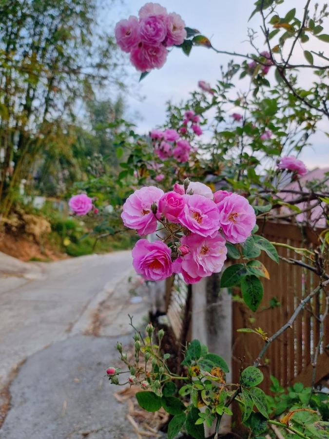 Bong Sen Hotel Dalat Eksteriør bilde